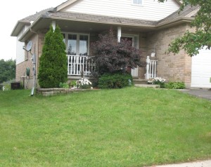 Nelly cambridge front yard before