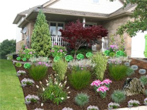Waterwise Landscapes