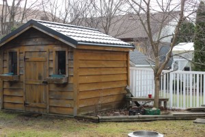 Shed And back fence