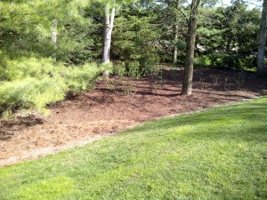 20 yds soil, 10 yds mulch and a country Lilac Garden is installed
