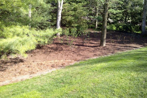 20 yds soil, 10 yds mulch and a country Lilac Garden is installed