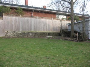 Back Fence Before