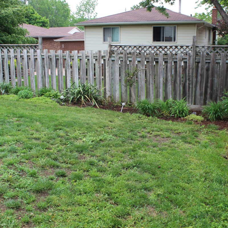 Brantford backyard Before