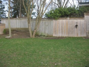 Katorji left rear fence before