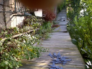 Side Walkway Before