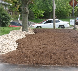 Paris Curb Appeal Final