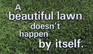 Lawn Care Helps